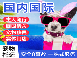 宜宾五粮液航空运输国际宠物托运 【国
